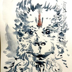 Tuesday, February 24, 2026