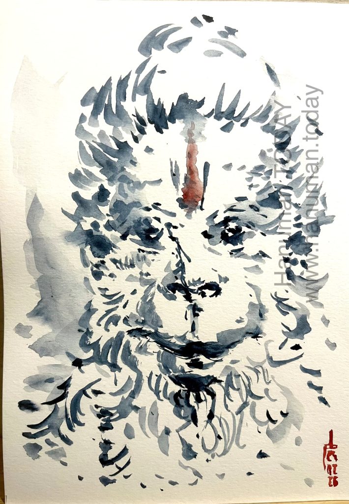 Tuesday, February 24, 2026