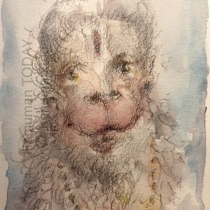 Wednesday, February 25, 2026