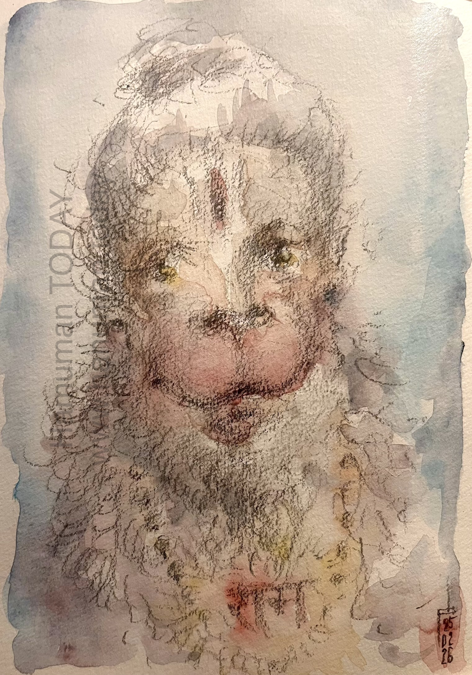 You are currently viewing Wednesday, February 25, 2026