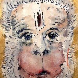 Saturday, February 28, 2026