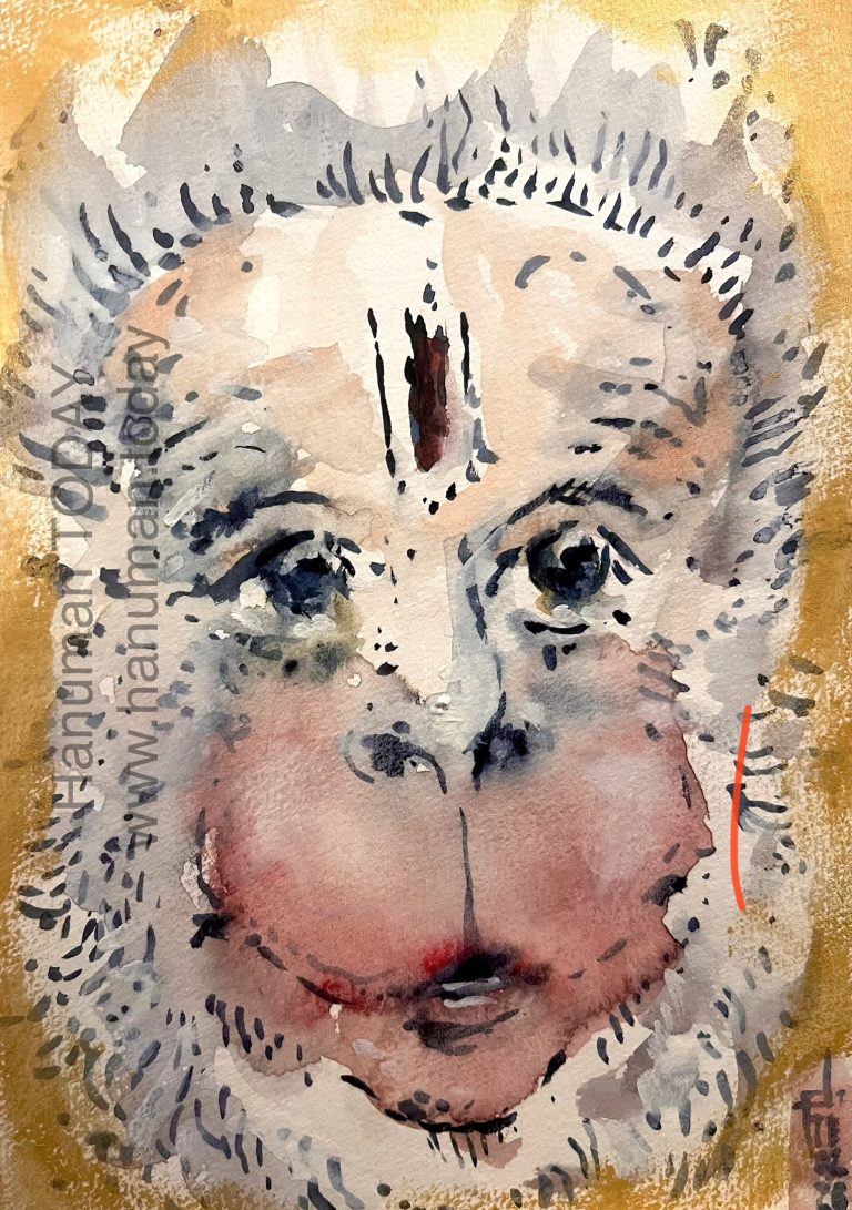 Read more about the article Saturday, February 28, 2026