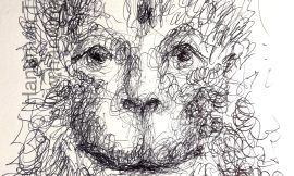 Tuesday, March 3, 2026