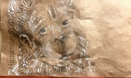 Wednesday, March 4, 2026