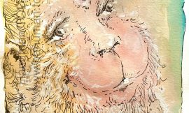 Sunday, March 8, 2026