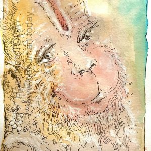 Sunday, March 8, 2026