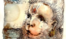 Wednesday, March 11, 2026