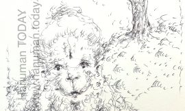 Friday, March 13, 2026