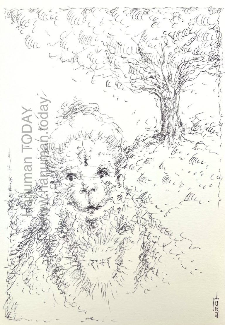 Read more about the article Friday, March 13, 2026