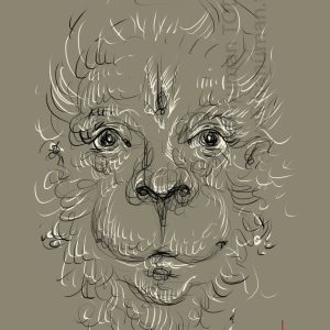 Sunday, March 29, 2026