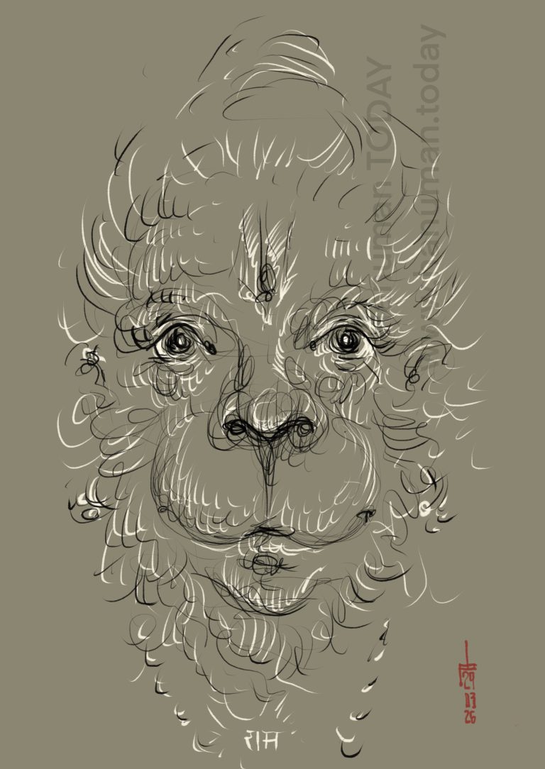 Read more about the article Sunday, March 29, 2026