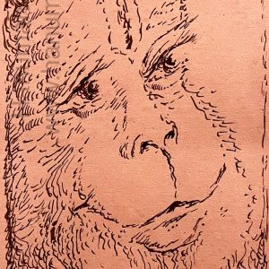 Tuesday, April 7, 2026